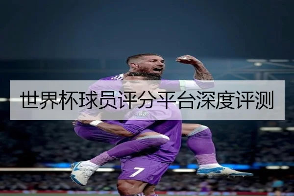 世界杯球员评分平台深度评测