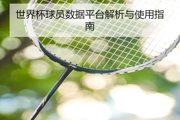 世界杯球员数据平台解析与使用指南
