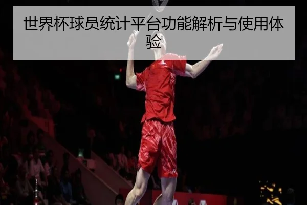 世界杯球员统计平台功能解析与使用体验