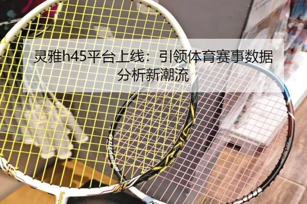 灵雅h45平台上线:引领体育赛事数据分析新潮流