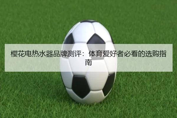 樱花电热水器品牌测评：体育爱好者必看的选购指南