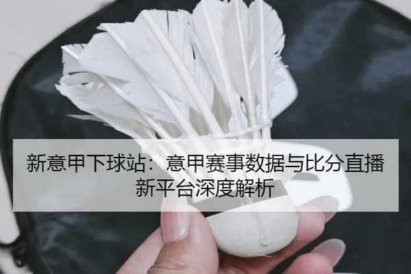 新意甲下球站：意甲赛事数据与比分直播新平台深度解析
