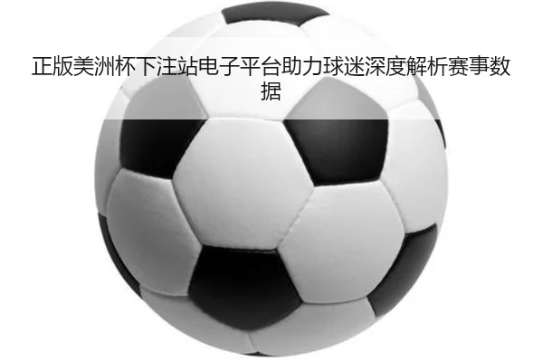 正版美洲杯下注站电子平台助力球迷深度解析赛事数据